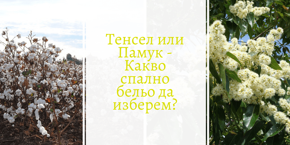Тенсел или памук- какво спално бельо да изберем за лятото Тенсел или памук- какво спално бельо да изберем за лятото