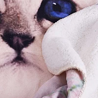 Качествено Бебешко одеяло Коте 100% Полиестер Качествено Бебешко одеяло Коте 100% Полиестер -