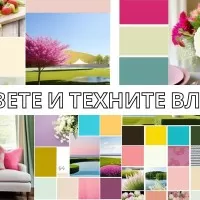 Цветовете и техните влияния върху хората