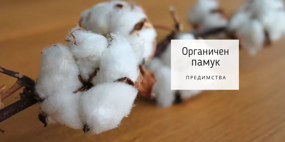 Удивителните предимства от органичния памук