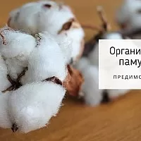 Удивителните предимства от органичния памук