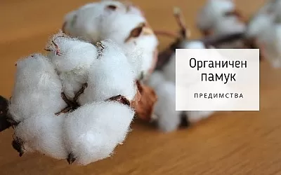Удивителните предимства от органичния памук