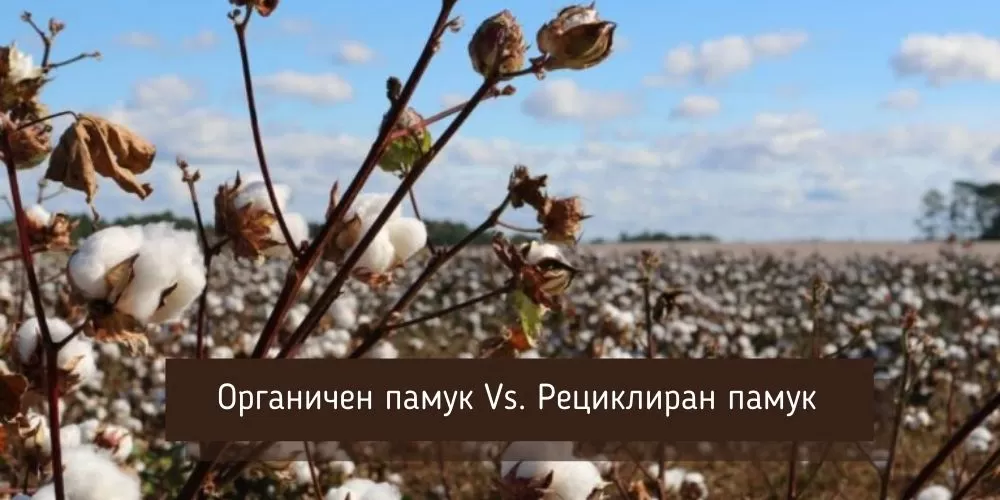 Органичен памук срещу рециклиран памук