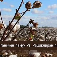Органичен памук срещу рециклиран памук
