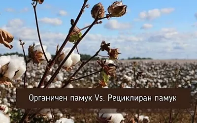 Органичен памук срещу рециклиран памук