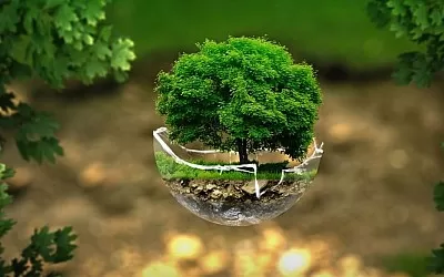 Топ 4 устойчиви материи за спално бельо през 2022 г