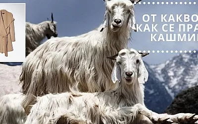 От какво и как се прави кашмир