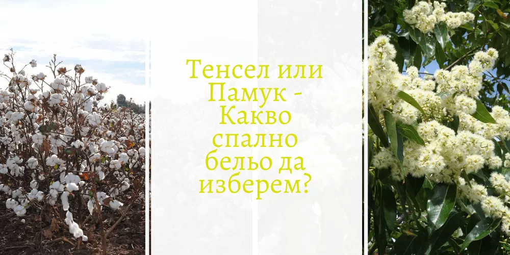 Тенсел или памук- какво спално бельо да изберем за лятото