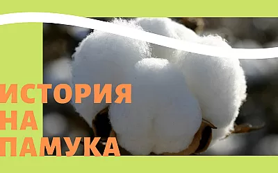 Историята на производството на памук