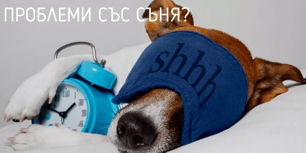 Здравословен сън: 15-те най-добри съвета на немските експерти за добър сън