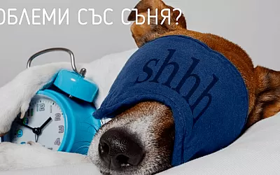 Здравословен сън: 15-те най-добри съвета на немските експерти за добър сън